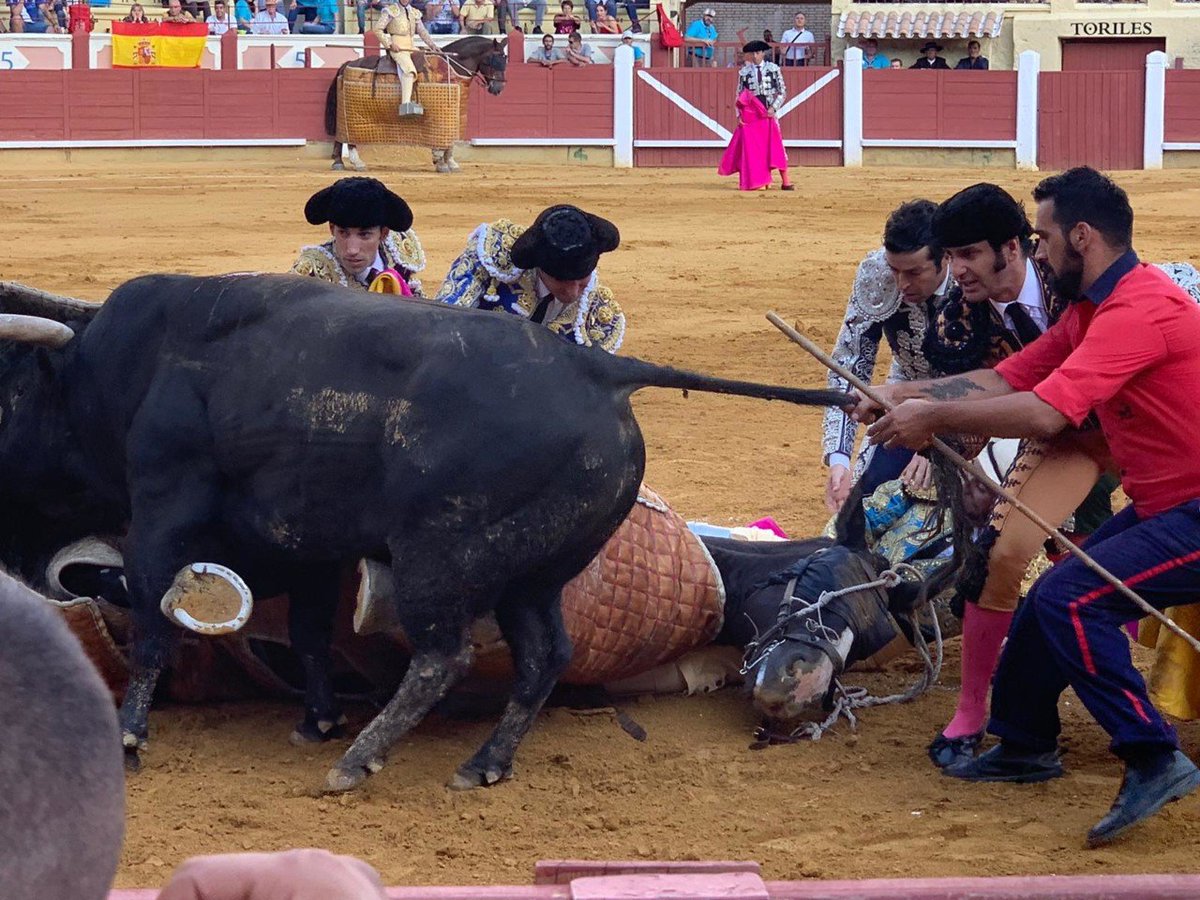 ruben_prz's tweet photo. Y a esto lo llaman arte, a animales sufriendo por la entrada que ha pagado un público enfervorizado🤮 https://t.co/oqoV1nR6TX