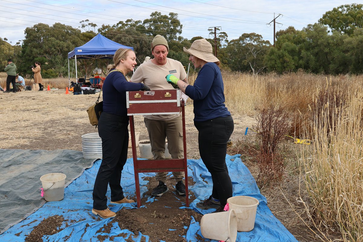 A unique project has seen veterans join in on an archaeological dig in Adelaide. Project Warhorse aims to provide veterans with an opportunity to engage in archaeology, while assisting them in their transition from service to civilian life. Find out more👉 bit.ly/4bU6I2K