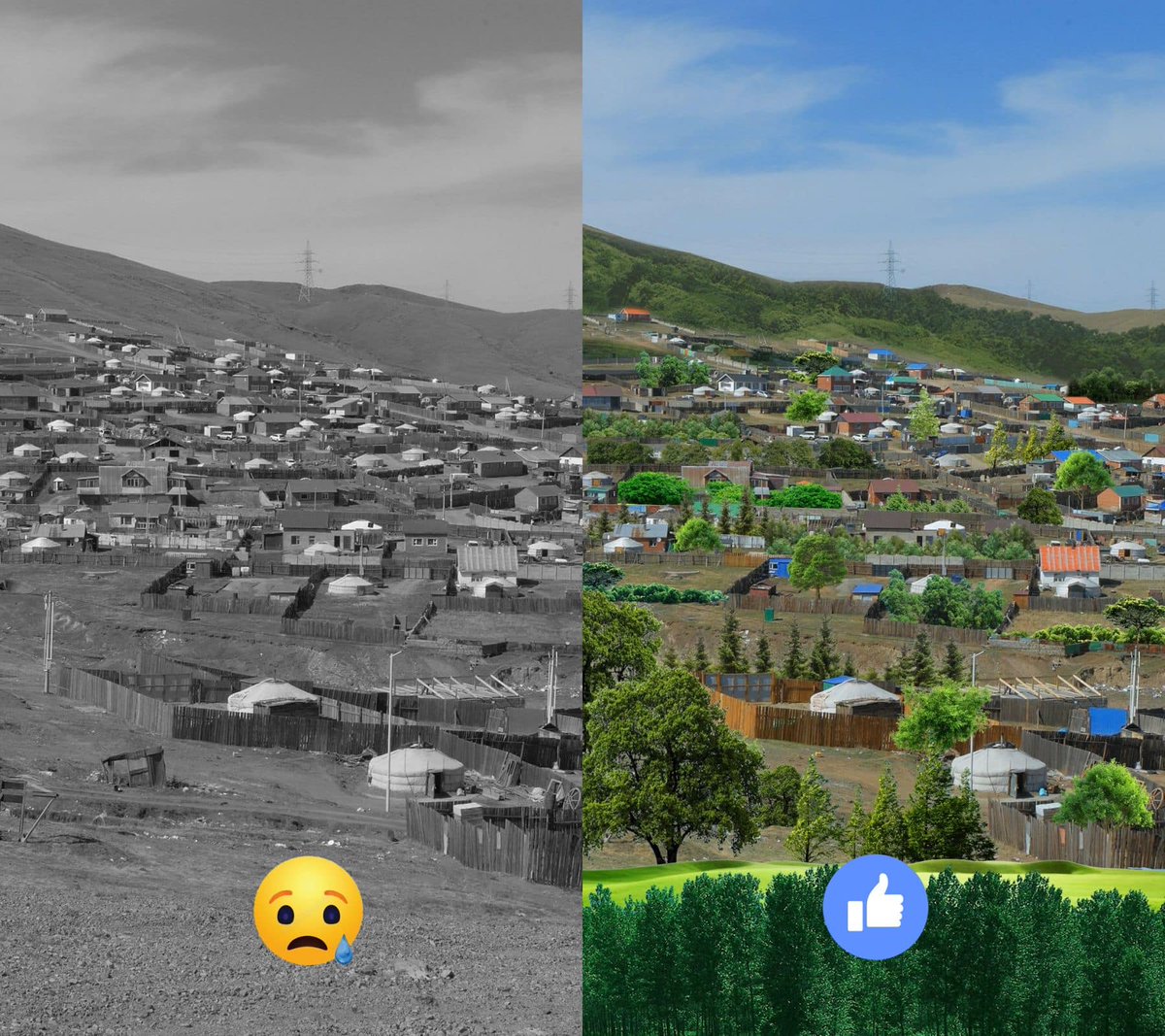 Айл бүхэн 5 мод тарихад гэр хороолол ингэж харагдана🌿🍀