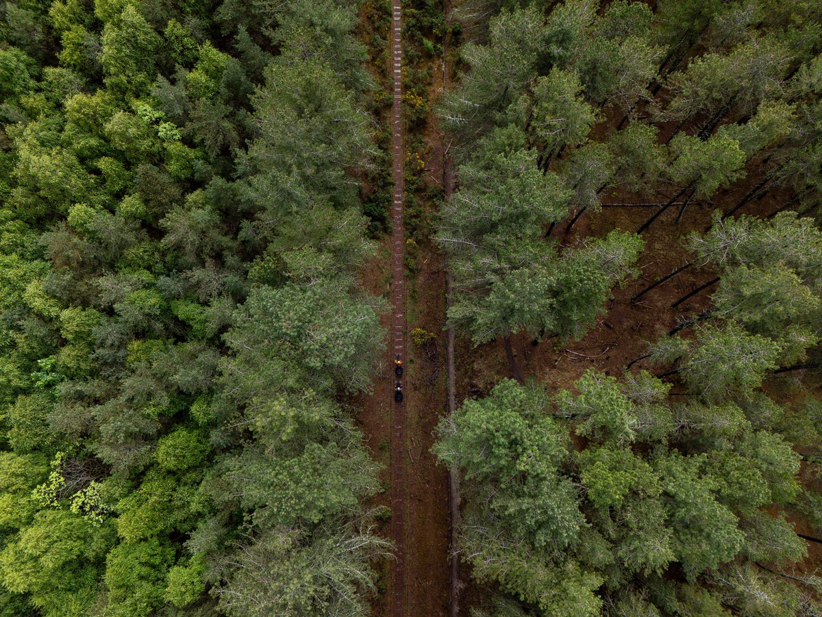 Markus Stitz tweet media