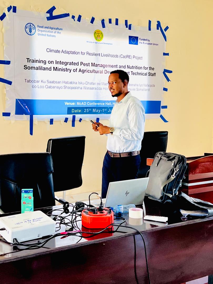 FAO & Somaliland MoAD kicked off a 7-day ToT training on Integrated Pest Management (IPM) and Nutrition for the Ministry technical staff, thanks to the EU-funded CadRe project. These trainees will train farmers in Burco on climate-smart and nutrition-sensitivity agriculture.