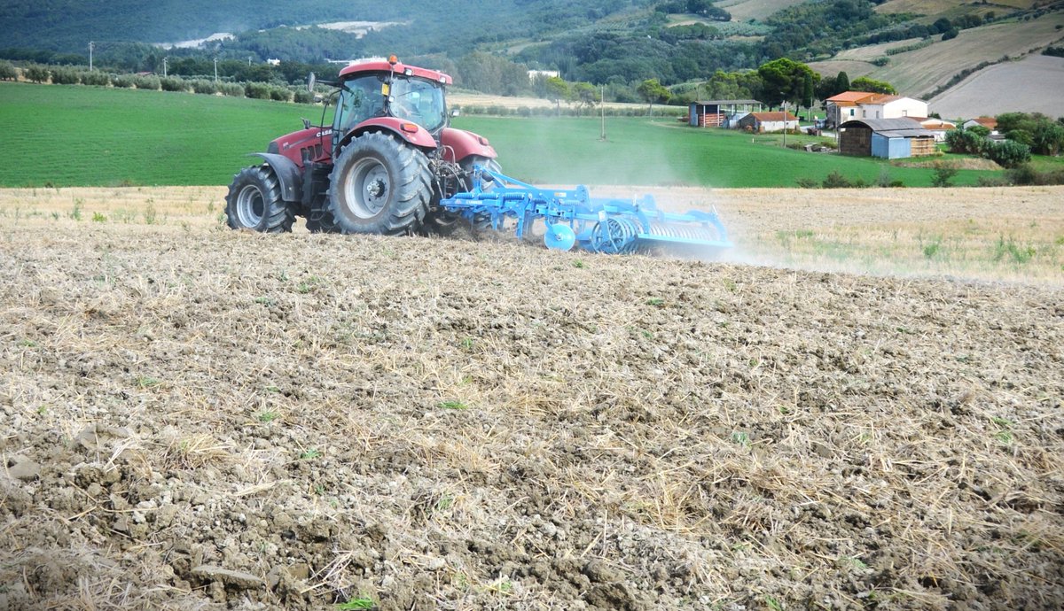 #OrganicFarming: on May 30th, join us for a dissemination event to see on-field innovative machinery and equipment for #organic mechanical pest management.

Read more on: santannapisa.it/it/news/agrico…
@ScuolaSantAnna @H2020IPMWorks