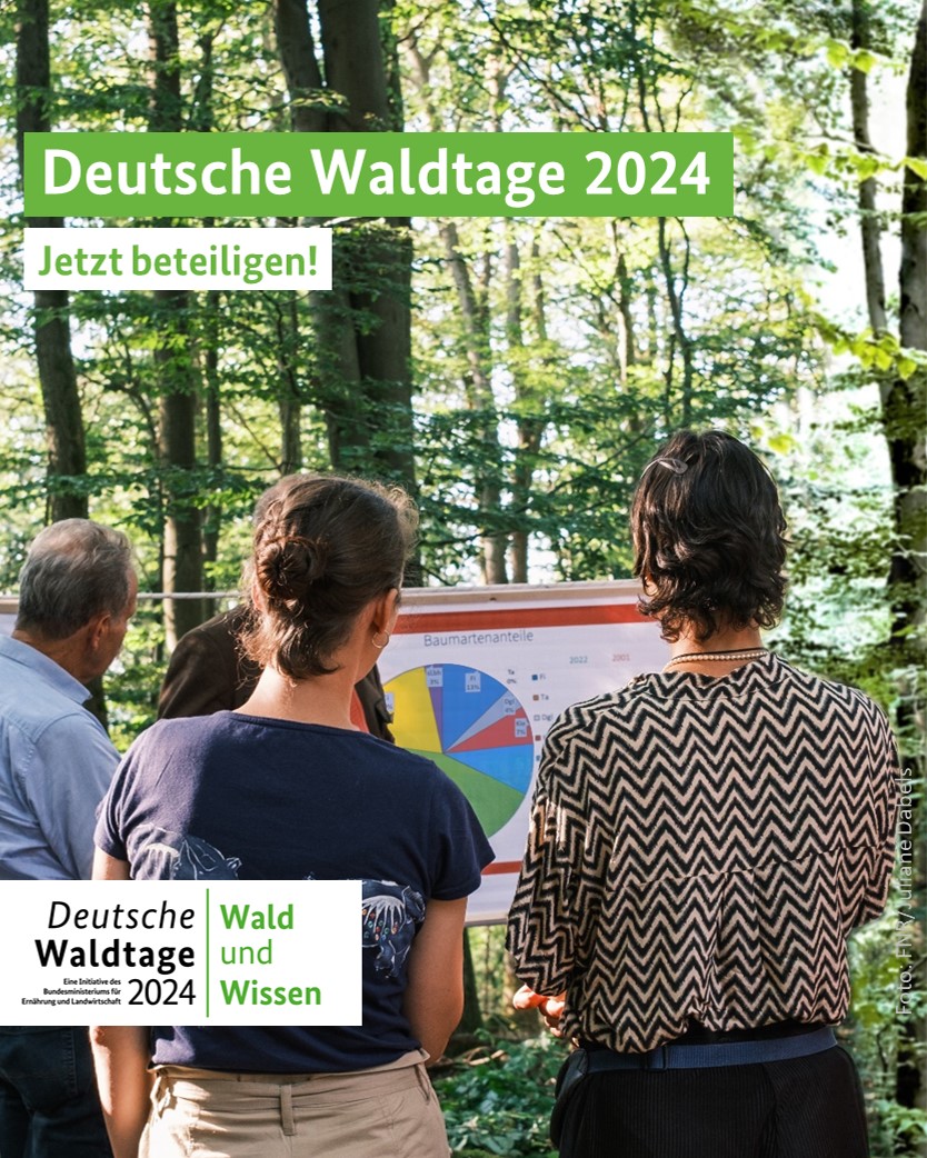 Die Deutschen #Waldtage2024 laden vom 13.-15.09. wieder zu vielfältigen Veranstaltungen in unsere Wälder ein. Seien auch Sie dabei! Wir rufen alle Akteure der Vorjahre und weiter interessierte Organisationen herzlich zum Mitmachen auf. Infos: deutsche-waldtage.de 
#waldwissen