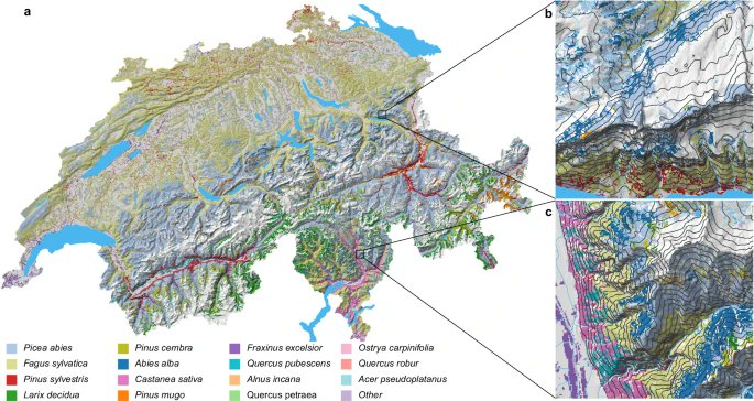 Dr. Dirk Karger (@dirknkarger) on Twitter photo Mapping fine-grained spatiotemporal distributions for thousands of plant #species, using #AI deep neural networks <a href="/WSL_DME/">WSL Dynamic Macroecology</a> <a href="/WSL_research/">WSL Umweltforschung @wslresearch.bsky.social</a> allows for the detection of seasonal variations and dominant #plant species with unpreceeded accuracy. nature.com/articles/s4146… #florID Mapping fine-grained spatiotemporal distributions for thousands of plant #species, using #AI deep neural networks <a href="/WSL_DME/">WSL Dynamic Macroecology</a> <a href="/WSL_research/">WSL Umweltforschung @wslresearch.bsky.social</a> allows for the detection of seasonal variations and dominant #plant species with unpreceeded accuracy. nature.com/articles/s4146… #florID