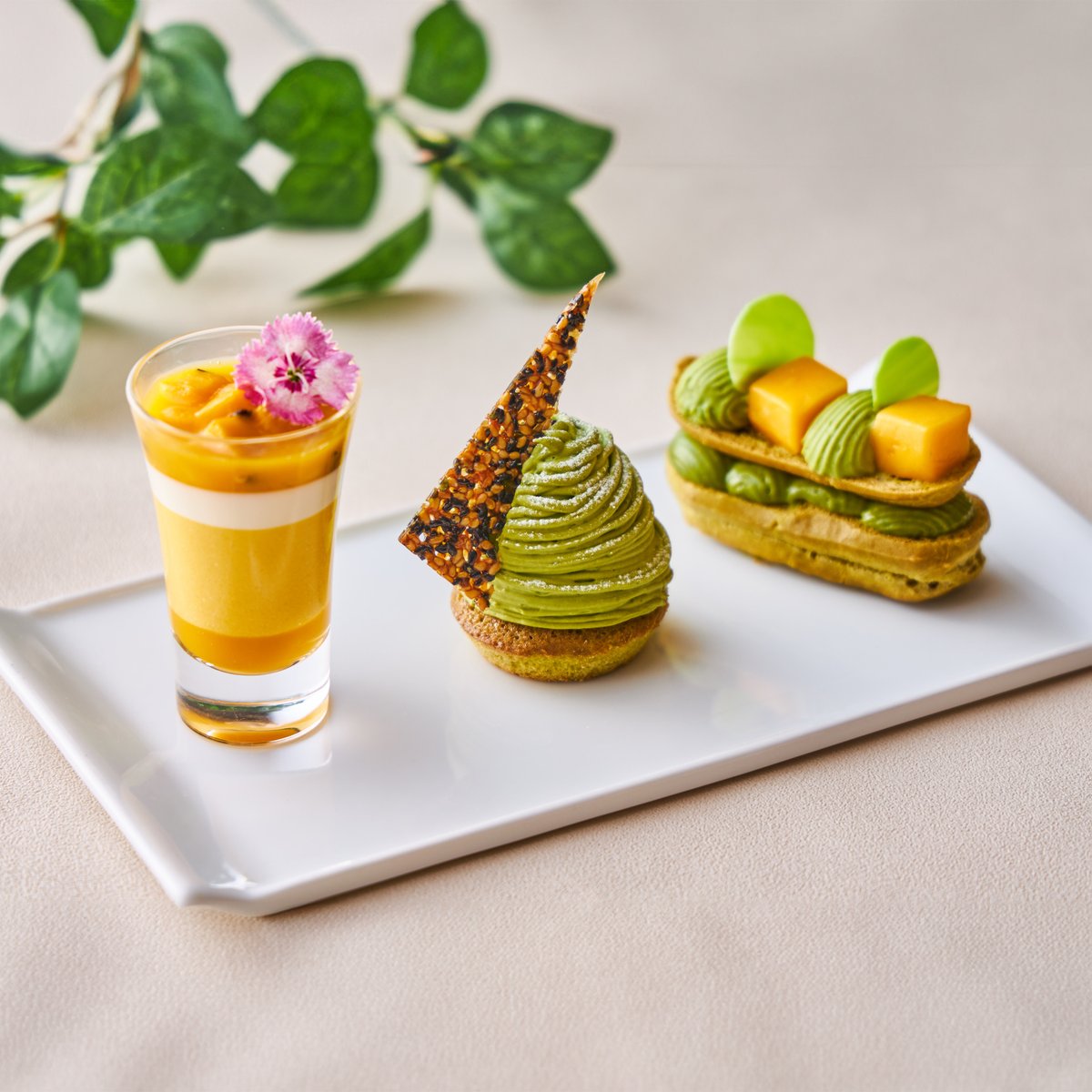 メザニンラウンジ「すずかけ」よりご紹介 心地よい酸味と炭酸の爽やか