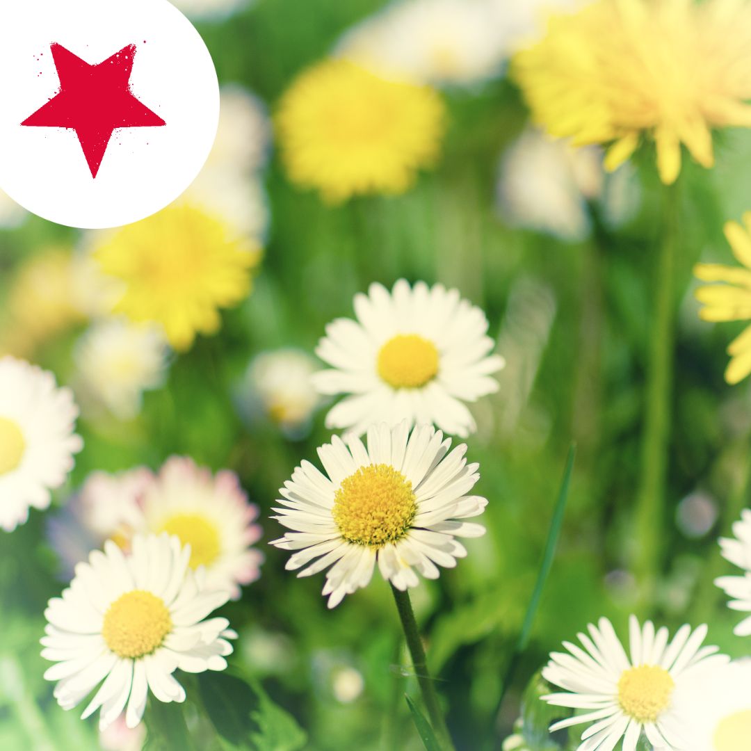 It's the Spring Bank Holiday today! Enjoy the extra-long weekend from the team at HR Revolution! #hr4good #Hrsupport #HRREV #HRSolutions #bankholiday #Spring #Springbankholiday