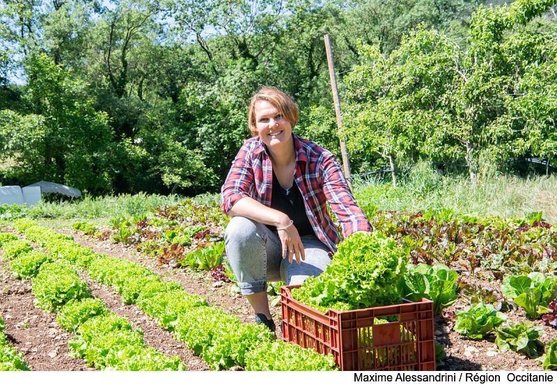 Région Occitanie tweet media