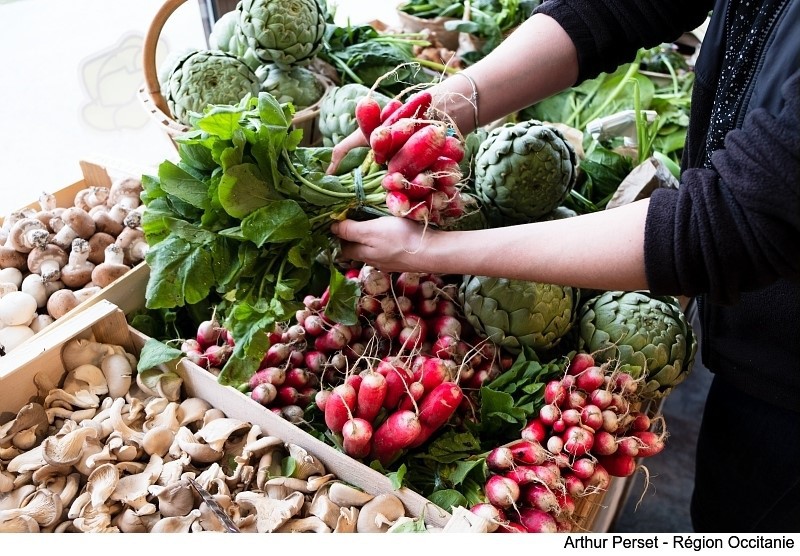 Région Occitanie tweet media