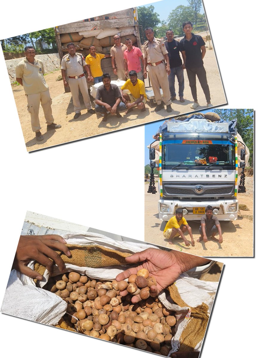 On 23-05-2024, Karbi Anglong Police team recovered and seized 25,200 KGs of Burmese areca nut (Supari) from a truck and in this regard 2 (two) persons have been apprehended. @gpsinghips @HardiSpeaks @d_mukherjee_IPS @assampolice