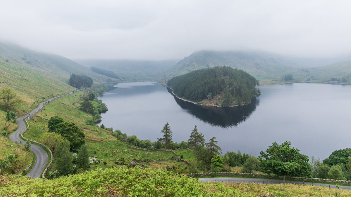 A misty morning amongst the fresh bracken #LakeDistrict #Haweswater #wexMondays #sharemondays2024 #fsprintmonday