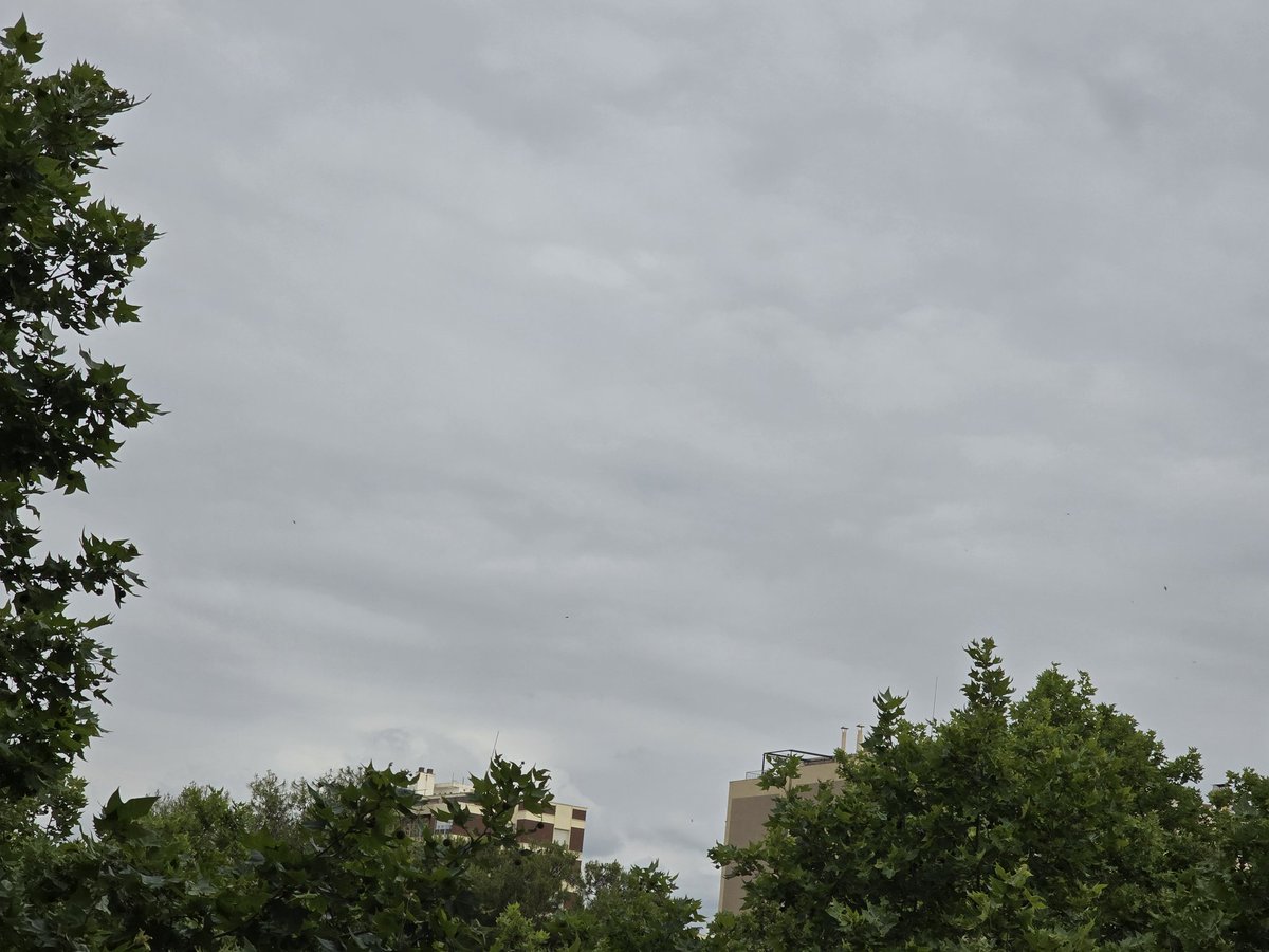gramareus's tweet photo. Comença la darrera setmana de maig amb un cel força ennuvolat...☁️☁️☁️
19°C,humitat del 80%
#reus #núvols #celgris #sky
@Alex_MeteoM @JRovireta @StormHour @SeguimlaMeteo @ecazatormentas @1967fct #bondia #goodmorning https://t.co/U5JyTWT4sx