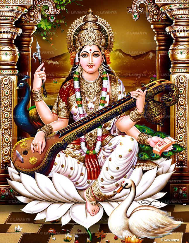 Divine Darshan of Maa Saraswati🌺🙏