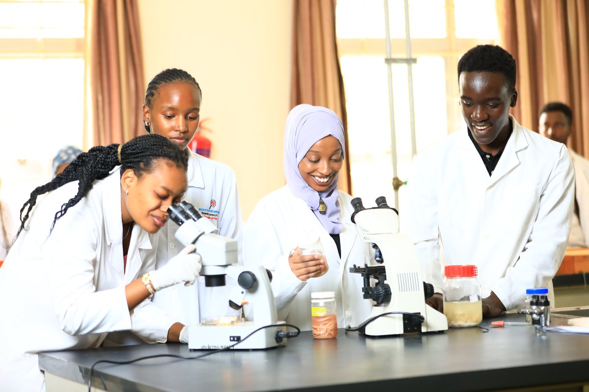 The Kenya Universities and Colleges Central Placement Service (KUCCPS) has placed a total of 7,112 students to pursue various degree courses at Jomo Kenyatta University of Agriculture and Technology, beginning September 2024. The placement by @KUCCPS_Official marks an increase of