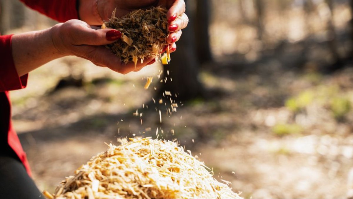 🎉 Suomalainen materiaaliteknologia-startup Fiberwood Oy on kerännyt yhteensä 7,7 miljoonan euron kasvurahoituksen nykyisiltä sijoittajiltaan <a href="/MetsaSpring/">Metsä Spring</a> :ltä ja Stephen Industriesilta sekä julkisilta rahoittajilta. 
 
Lue lisää 👇paaomasijoittajat.fi/ajankohtaista/…