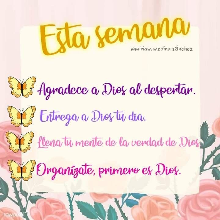 Oración Diaria®™ (@oracion_diaria) on Twitter photo 2024-05-27 07:14:05
