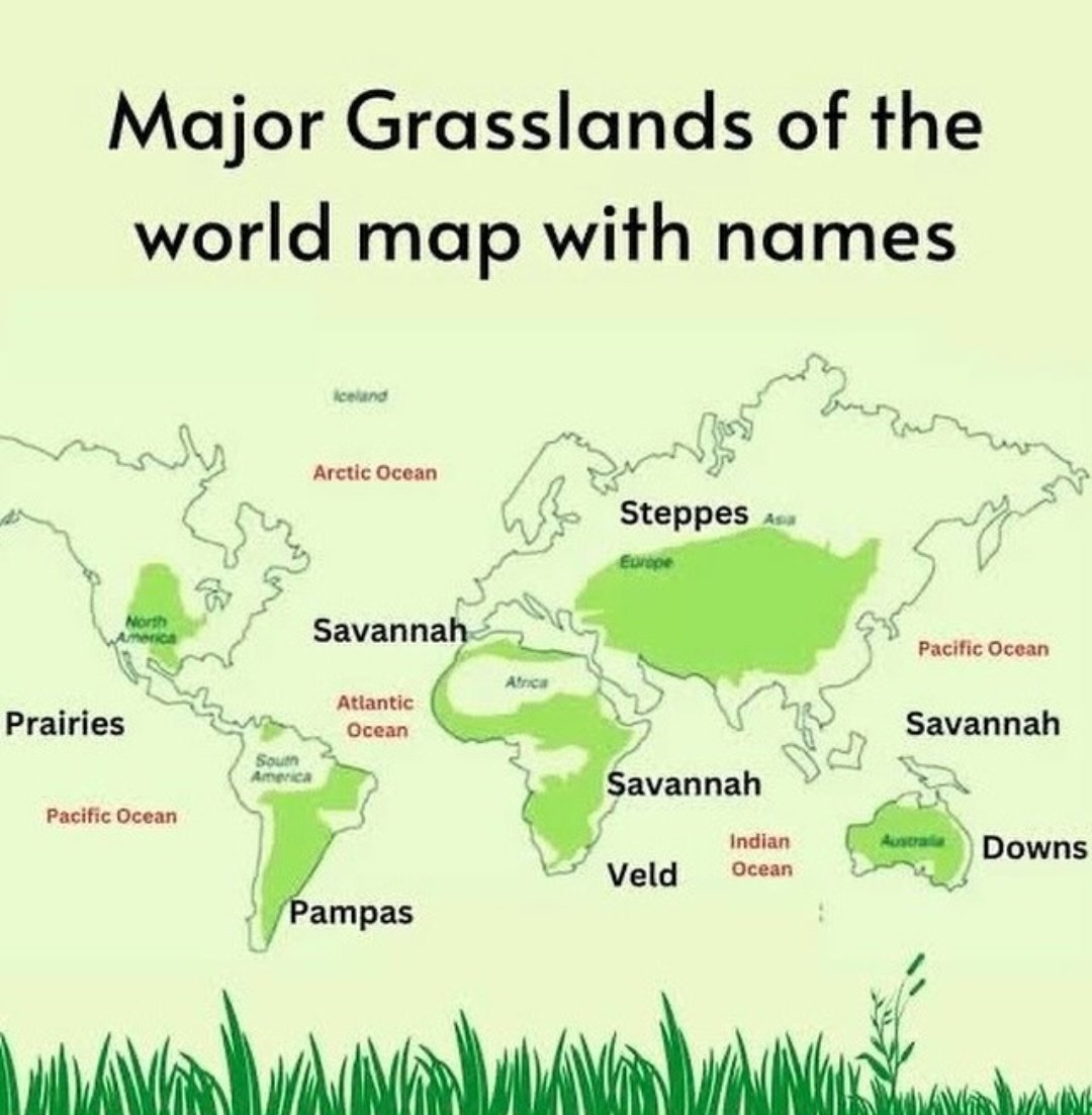 Major Grasslands of the World.