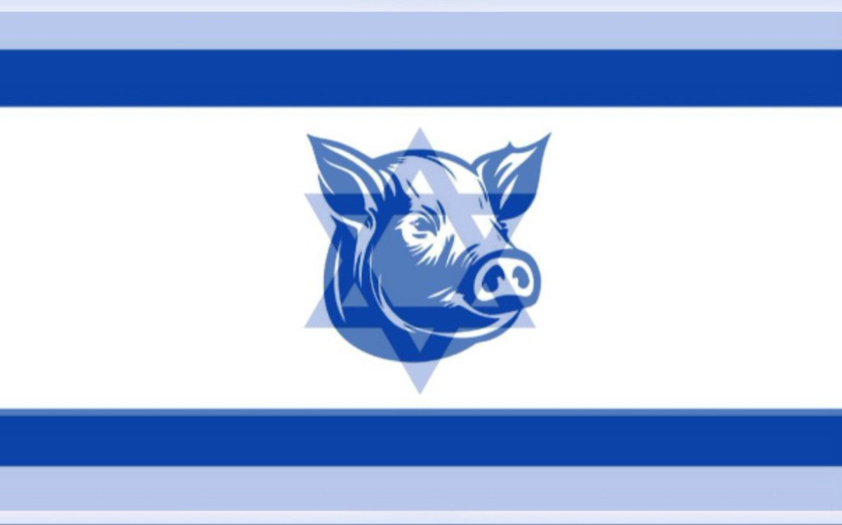 Calling Israel the 'Jewish State' is like saying 'Halal Pork' or 'Kosher Pork'. The entire idea of ​​Zionism is contrary to the Jewish faith. (Know that Israel is a completely secular state and its laws violate ALL the fundamental commandments of the Torah and the Jewish