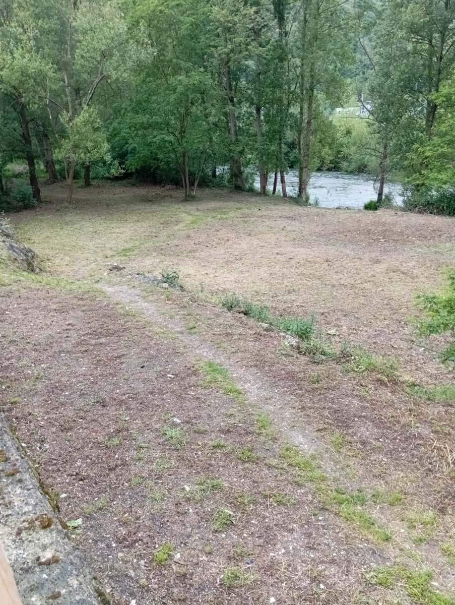 ¡La insistencia de IU da frutos!
📢 La adecuación de la zona para 🐶 de El Serrallo es una buena noticia,aunque hacemos hincapié en la necesidad de instalar papeleras y bancos para el uso y disfrute de los vecinos del Concejo.
¡IU trabajamos dia a día para dar vida a Samartín!