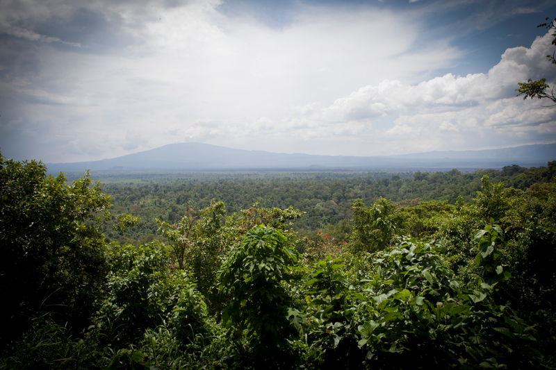 GreenpeaceAfrik's tweet photo. Je choisirai cette vue tous les jours. 😍

Imaginez la quantité d'air frais disponible ici. ohlalaaaa 🥰 https://t.co/8BOeq2hRzf