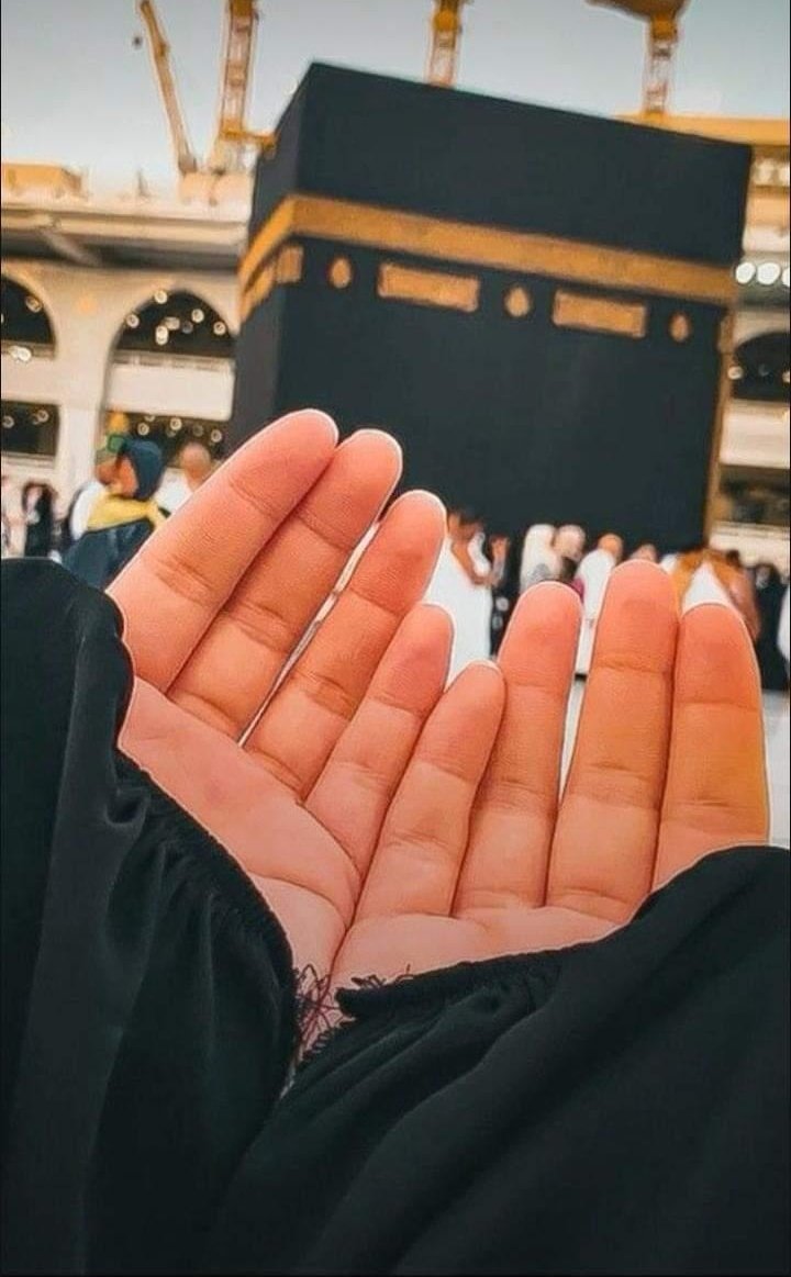 شانزے🖤 tweet media