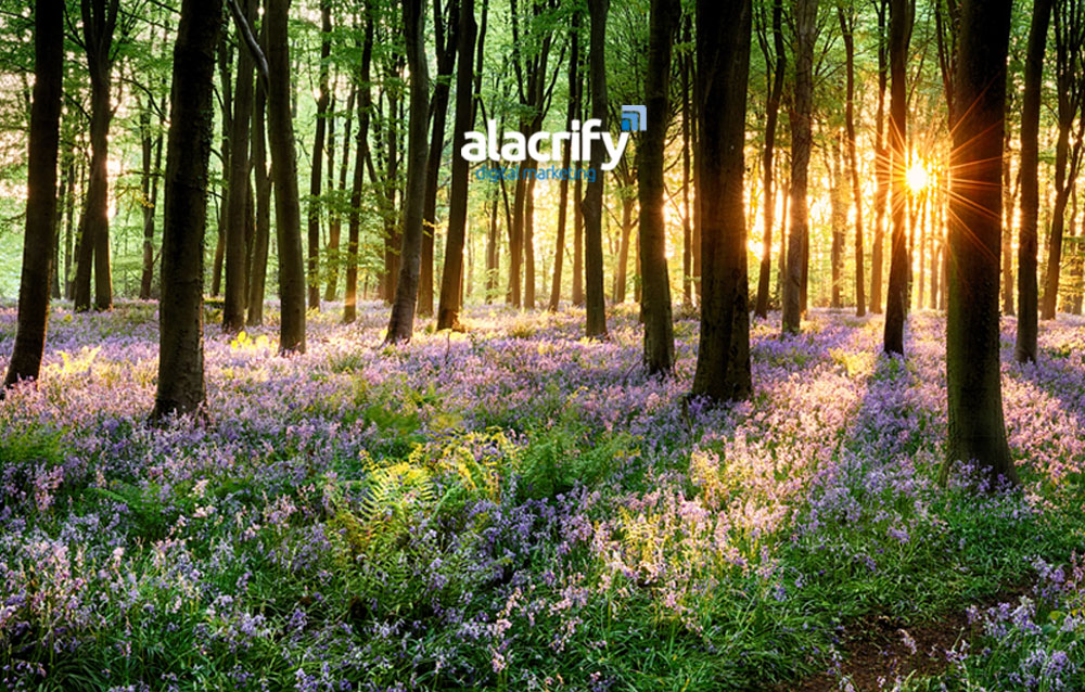 Just a reminder our office will be closed due to the Spring Bank Holiday. Our phone line and emails will be unmonitored also.

We will be open as normal Tuesday 28th May 2024.