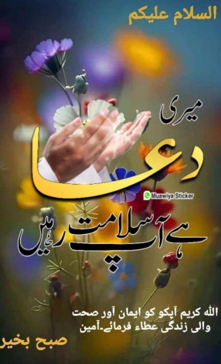 rana saleem (@ranasal79907223) on Twitter photo 