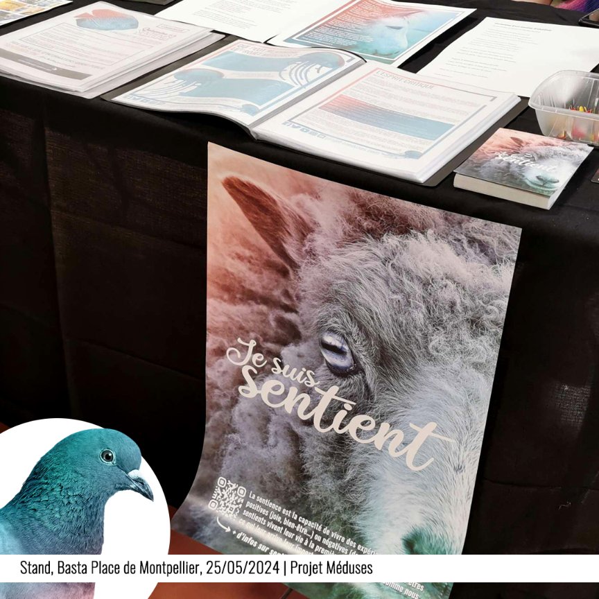 PMeduses's tweet photo. 💙Photos de notre stand #sentientiste à la Basta Place de Montpellier le 25 mai.
🙏Merci à l'équipe d'organisation de l'événement et bravo à notre Antenne Montpellier !
#QuinzaineSentience #sentience https://t.co/ITJmV9ciad