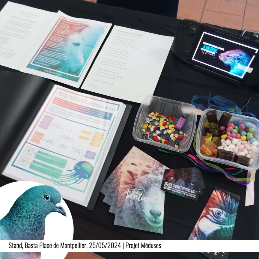 PMeduses's tweet photo. 💙Photos de notre stand #sentientiste à la Basta Place de Montpellier le 25 mai.
🙏Merci à l'équipe d'organisation de l'événement et bravo à notre Antenne Montpellier !
#QuinzaineSentience #sentience https://t.co/ITJmV9ciad