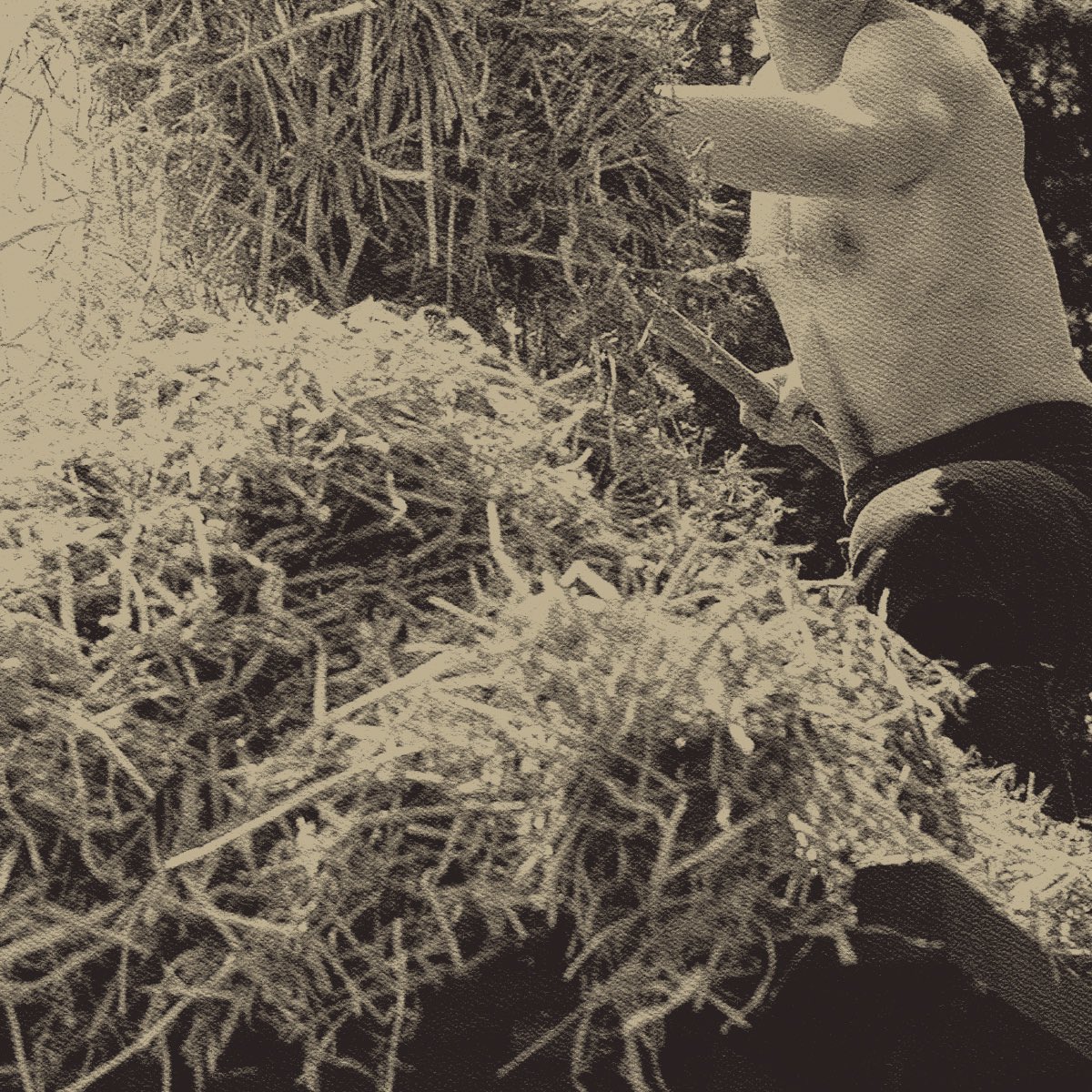 royaltempests's tweet image. 