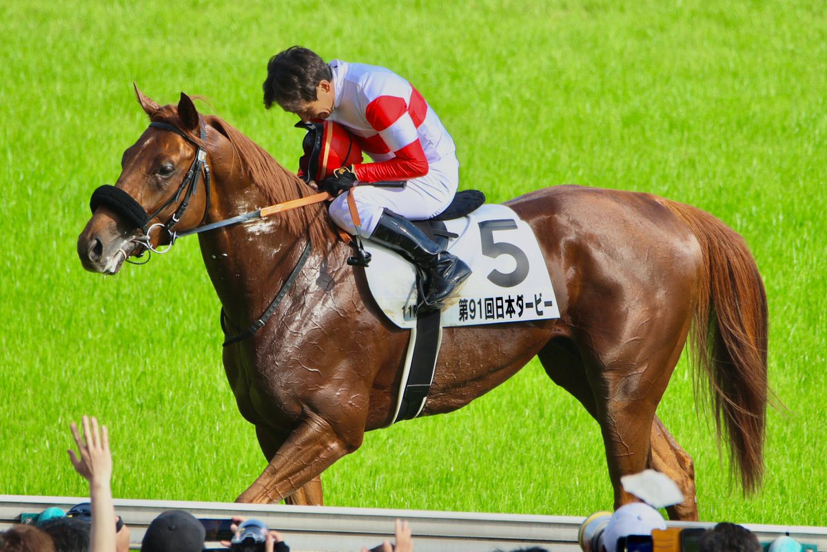 返し馬の時、1頭だけ誘導馬について行ってゴール板前で立ち止まった馬がいた。
その馬の名は「ダノンデサイル」
レース後ふと思い出した時鳥肌が立った🥶
#日本ダービー
#ダノンデサイル
#横山典弘
#東京競馬場