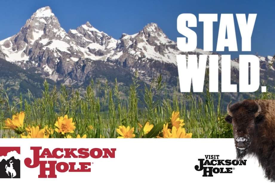 westerntours_fr's tweet photo. "STAY WILD", après Yellowstone et Grand Teton, voici Jackson Hole qui prône le respect de l'environnement et l'intégration parfaite dans la nature sauvage, haut-lieu des skieurs en hiver.
https://t.co/4yoSM8RE8R
#roadtrip #circuitusa #visitjacksonhole #autotour #westerntours https://t.co/w5VYOvmOLm
