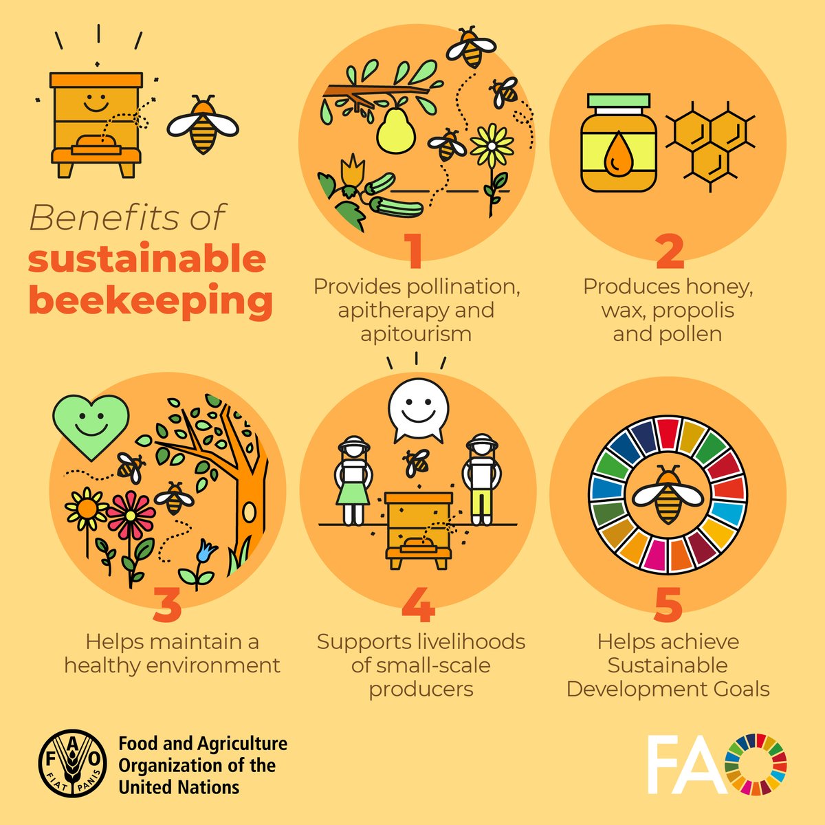 ⬇️5 benefits of sustainable beekeeping🐝 #SaveTheBees