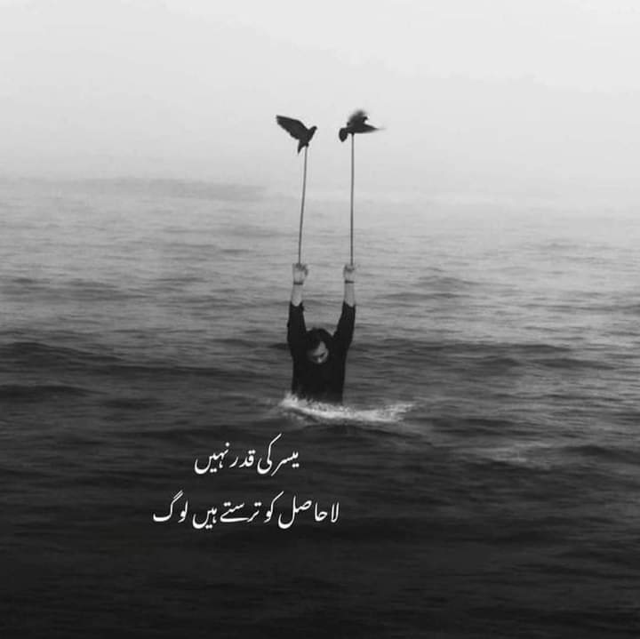 Aoa🌴🌷
...beshak...jiii