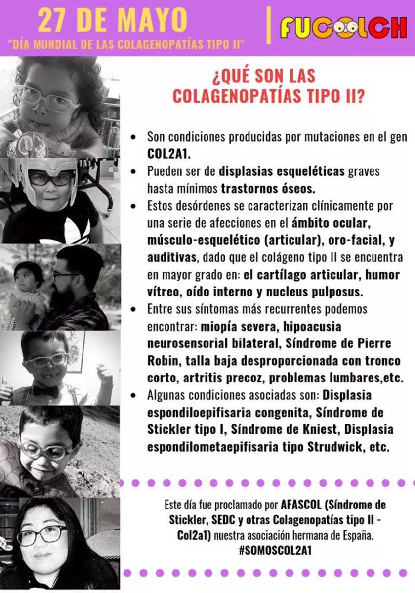 NoInvisibles's tweet photo. Es día de concienciación #ColagenopatíasTipoII
Conocer más y mejor #COL2A1
Diversas #EERR debidas a esta mutación:
#Stickler #SEDC #Strudwick #Kniest #Perthes #Stanescu
Visibilidad e investigación son el camino y la esperanza
Gr. @AFASCOL @FUCOLCH👇
https://t.co/EGdLrw33UT https://t.co/WGWvlfBDJI