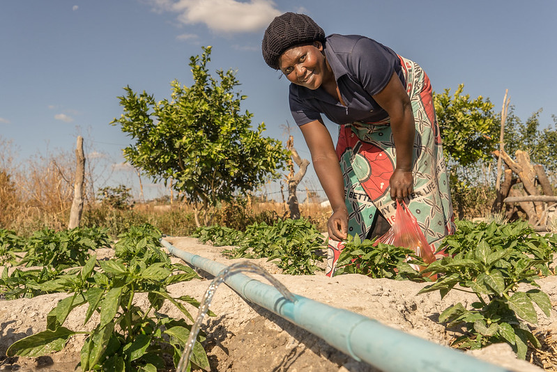 #Women in agrifood systems in low- and middle-income countries are more likely than men to be adversely affected by #climatechange. How can we close the gender gaps and enable women to seize opportunities for enhancing climate adaptation? 👉 on.cgiar.org/4cr5pJO #GenderinAg