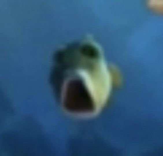 /ᐠ - ˕ -マ tweet media