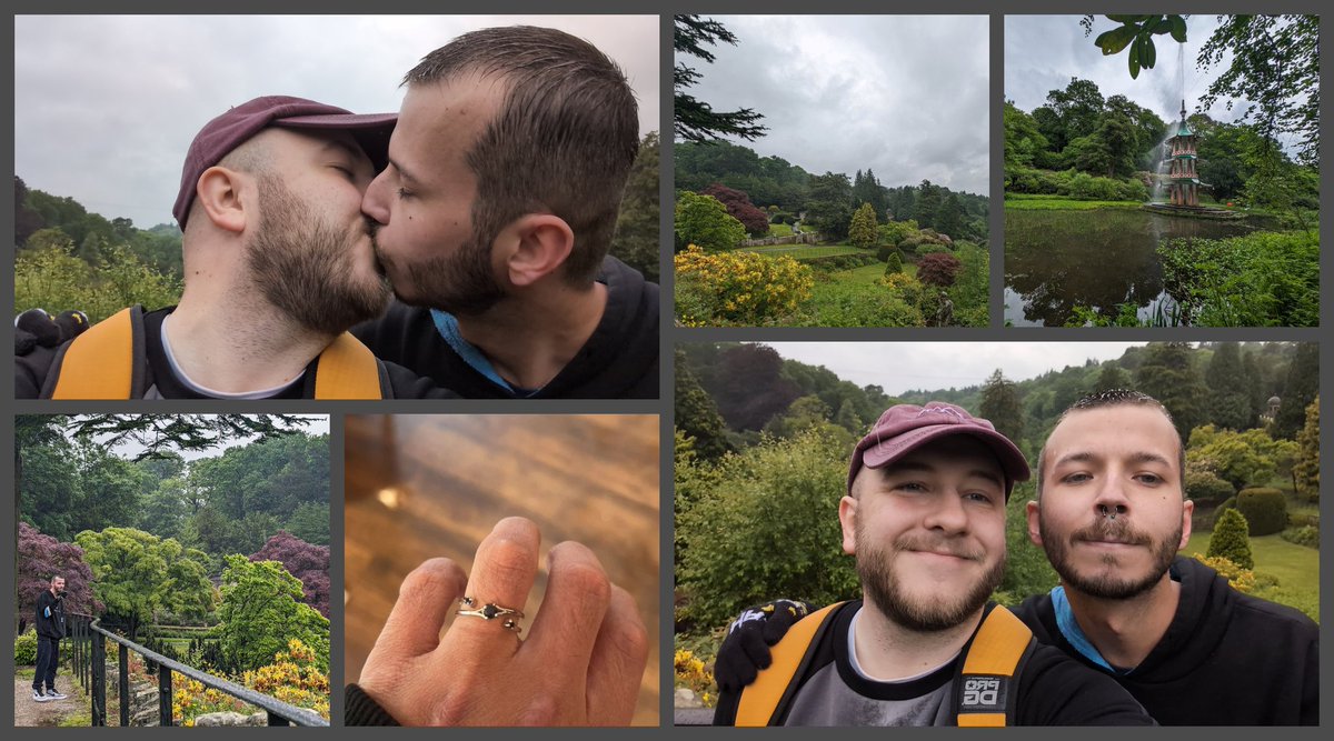 Georgie 🏳️‍🌈 tweet media