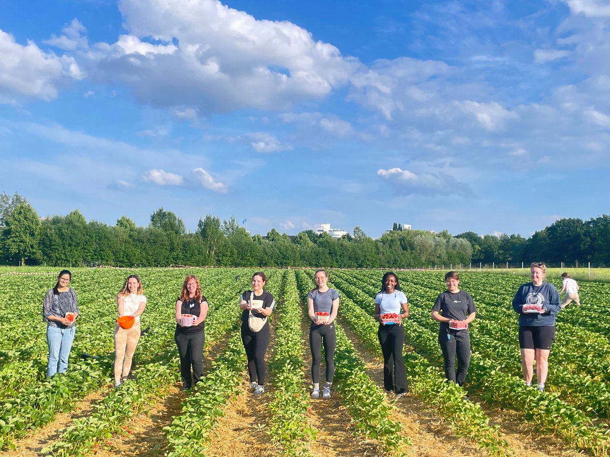 GloriusGroup's tweet image. 🍓✨ Ladies' evening out at the strawberry fields! 👯‍♀️

#summerishere #strawberryseason #groupspirit