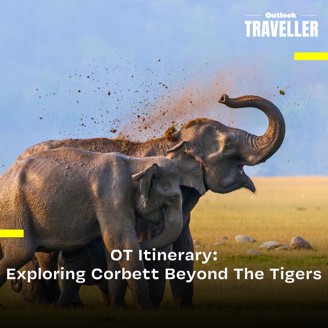#OTItinerary | How about planning a trip to the wilderness this monsoon season?

#OutlookTraveller #UttarakhandTourism #Summer #Monsoon

outlooktraveller.com/destinations/i…