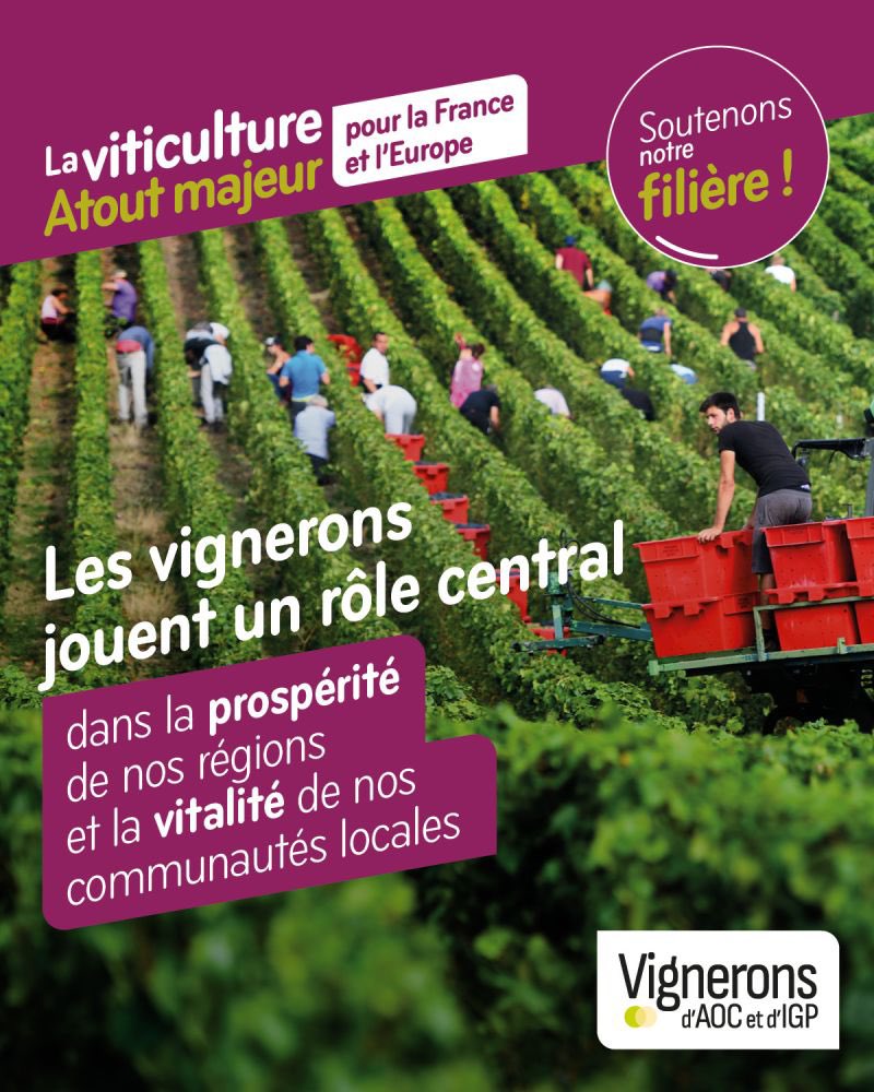 Nos vins #AOC et #IGP jouent un rôle central ds les territoires. Nous demandons à tous les candidats aux élections 🇪🇺 de préserver la filière de la concurrence déloyale. Parmi eux, la liste <a href="/lesRepublicains/">les Républicains</a> CC <a href="/fxbellamy/">Fx Bellamy</a> <a href="/CelineImart/">Céline Imart</a> <a href="/AnneSanderElue/">Anne Sander</a> 
Info: lnkd.in/egyzX4jd