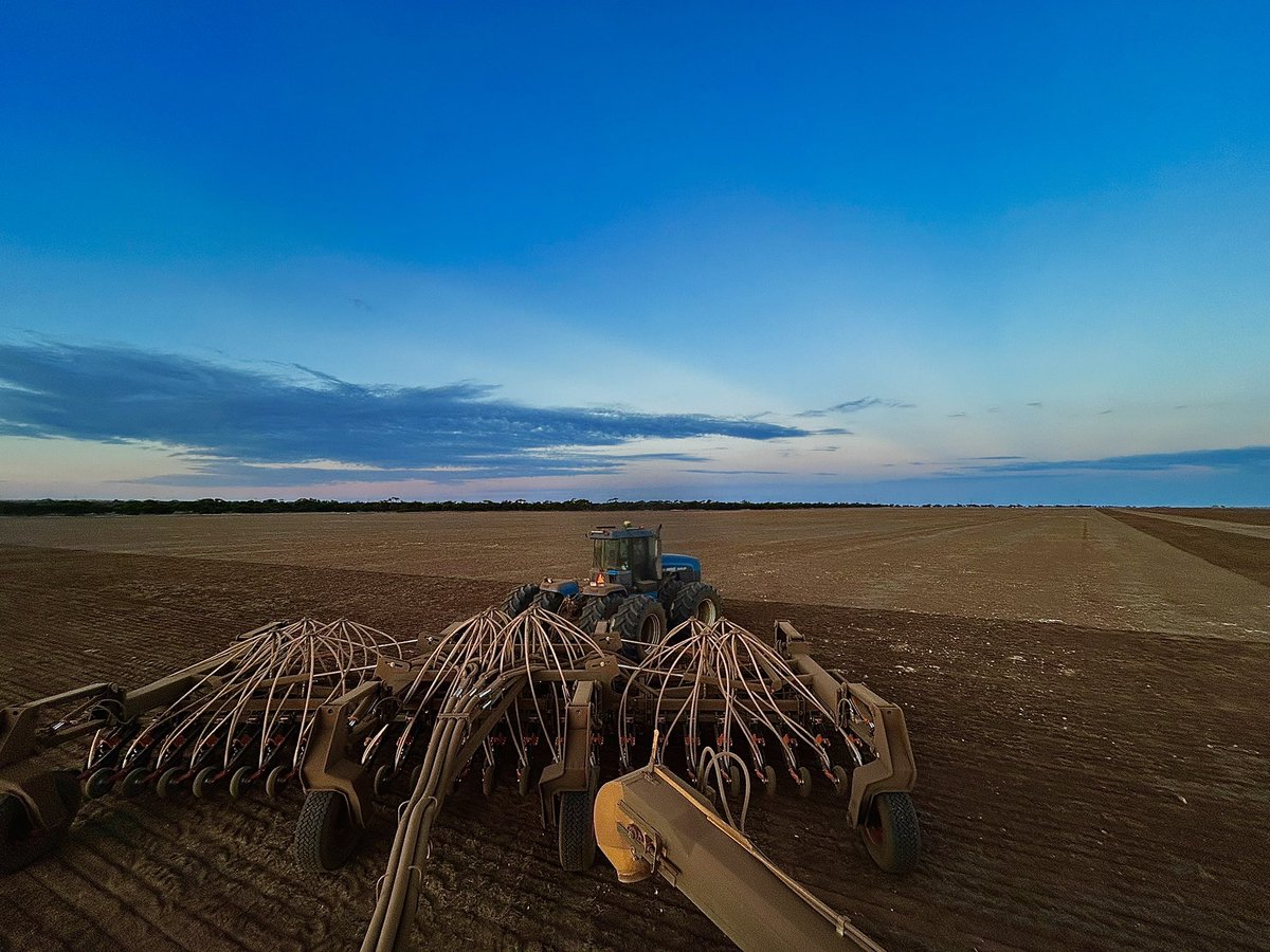 Patrick Way tweet media