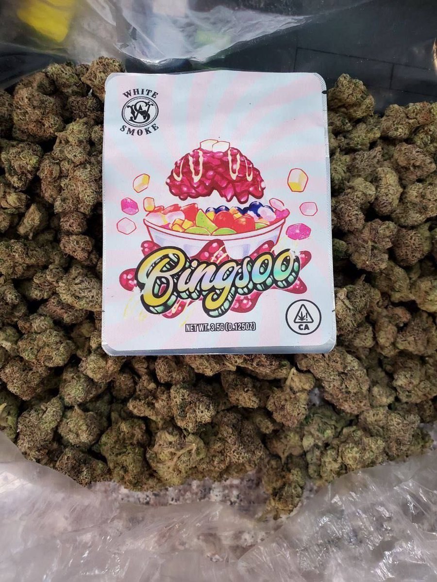 BubbaExotics's tweet image. Bingsoo