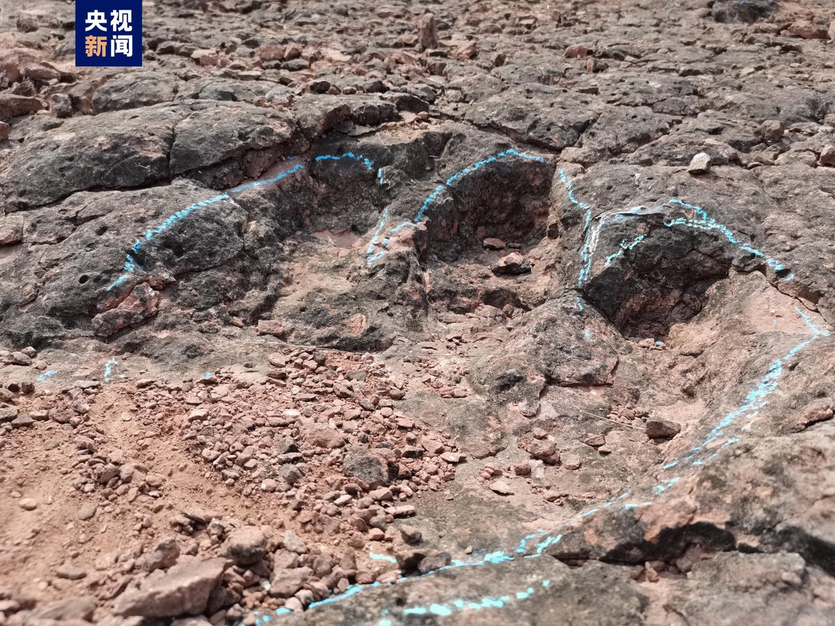 Chinese researchers have recently discovered a large number of early Cretaceous #dinosaur footprints in Liyuan village, Lufeng of the Southwest China's #Yunnan Province. Geological age measurements of the site indicate that the rock layer containing the dinosaur footprints dates