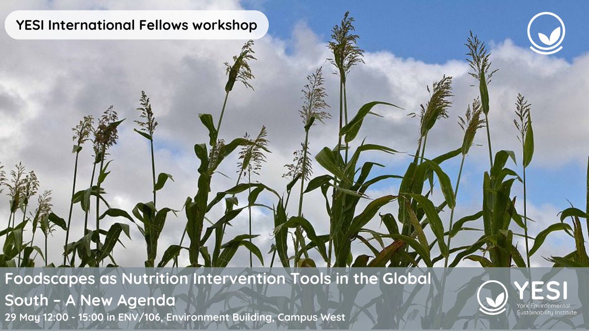 🌍Join YESI International Fellow Dr Abena Boakye @KNUSTGH for a workshop on transforming food systems using indigenous, climate-resilient crops, using cultural, historical + environmental insights.🌾🍽️ 29 May➡️ ow.ly/7THC50RSssU @BiologyatYork @FixOurFoodteam