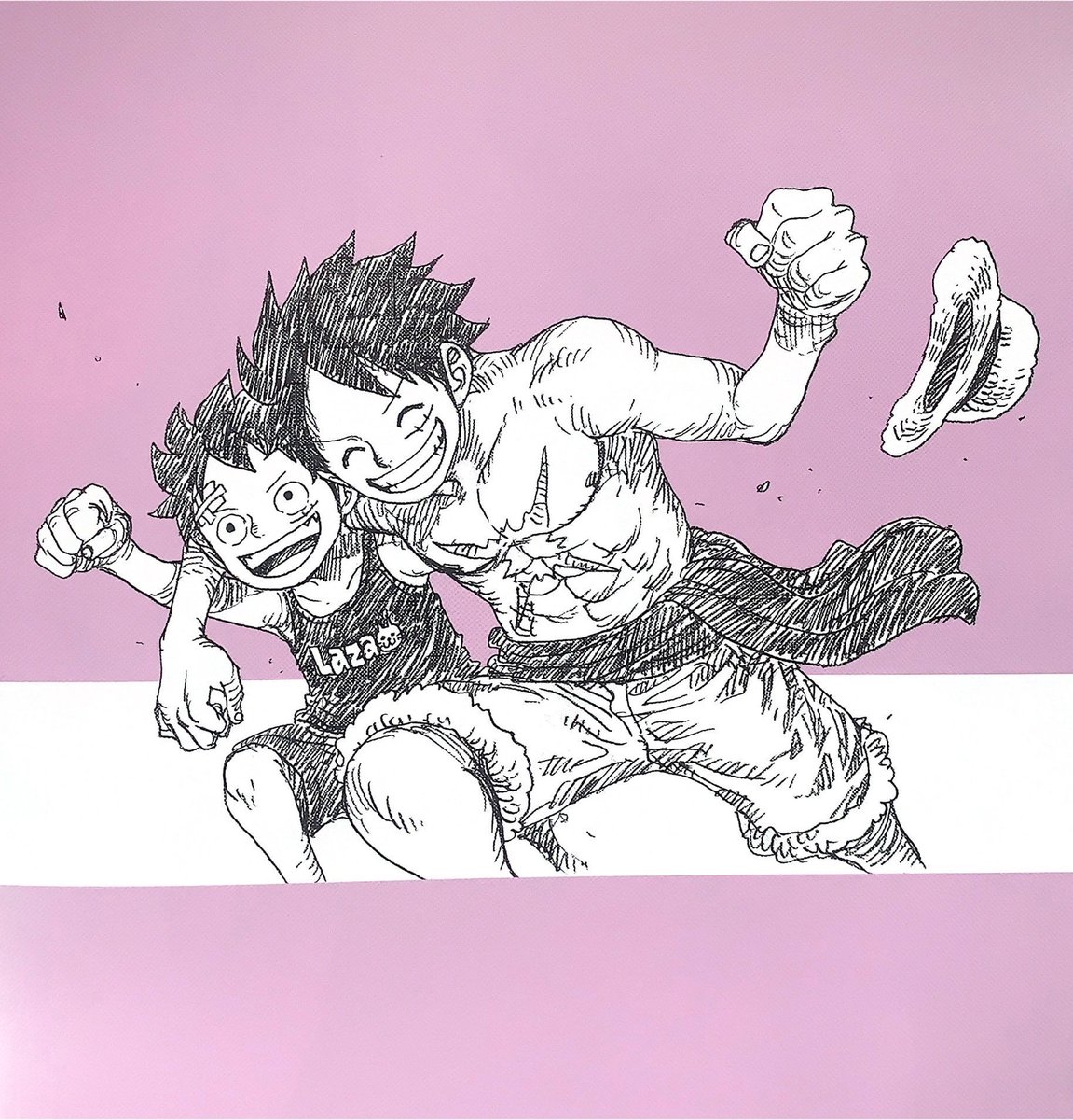strawhats's tweet photo. Monkey D. Luffy https://t.co/p8NrVoh7rP