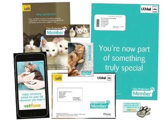 Taking out a Cats Protection membership is one of the many ways for our lovely supporters to help the charity continue to do its great work. Please follow the link to find out more cats.org.uk/membwarrington… 🐈🐈‍⬛ #BankHolidayMonday #CatsOnTwitter #CatsOnX #May