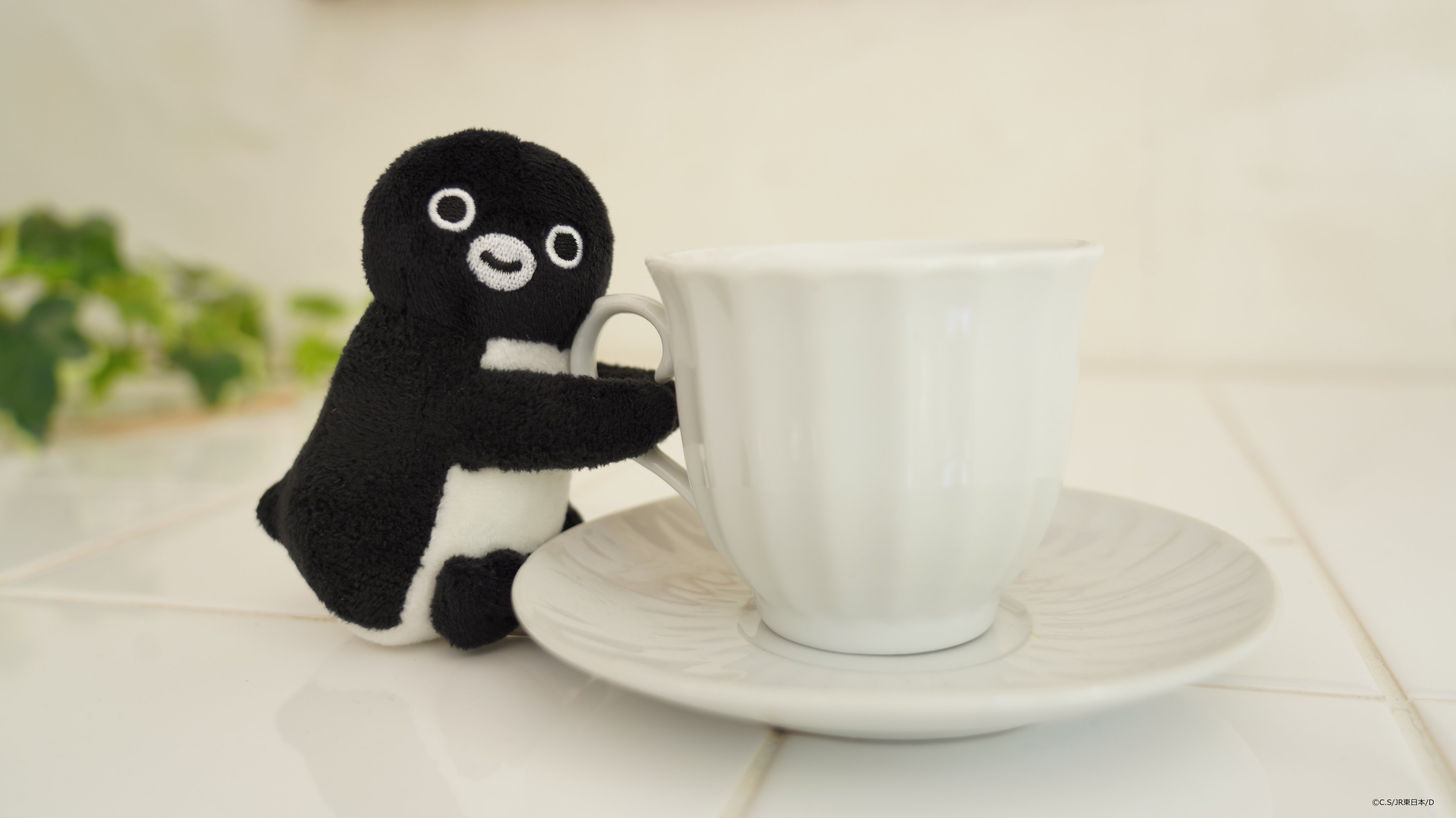 Suicaのペンギン」（グッズ＆カフェ情報）@JR-Cross（公式） on