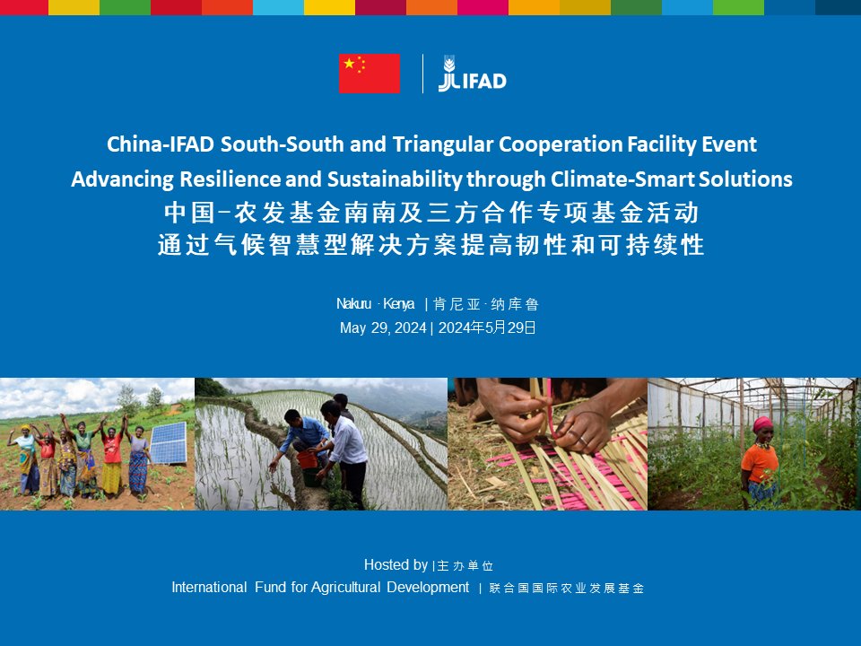 Join the discussion on innovative #ClimateSmart solutions at the event 'Advancing Resilience and Sustainability through Climate-Smart Solutions' by @IFAD & China-IFAD SSTC Facility 🗓️May 29 , 15:00-16:30, GMT+8 🔗Register: bit.ly/3WVRfuU 🔗Info: bit.ly/4byKcNo