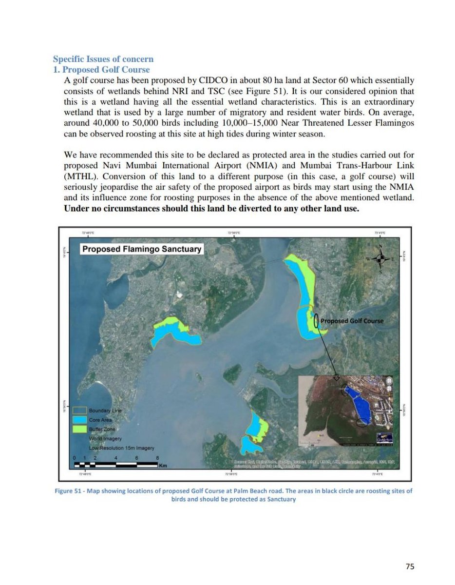 @AshutoshQuest @sunnyagro @akshay_journo @ranjeetnature @SloganMurugan @TamhiniGhat @singh_sonu @dharmeshbarai @tweetsvirat @BNHSIndia @CIDCO_Ltd @AdaniOnline @HardeepSPuri @JM_Scindia @DGCAIndia @PMOIndia @AmitShah @moefcc @IndianExpress @CMOMaharashtra @anandmahindra @Awhadspeaks @citizenmatters @Dev_Fadnavis @AjitPawarSpeaks @ANILGALGALIRTI @anjaya1905 @cdmpatra @mpcb_official @bnhs Simple Google search gives final report of baseline survey of birds at proposed #NMIA site by @BNHSIndia for @CIDCO_Ltd as required by @moefcc before granting #EIA approval to @AdaniOnline airport project.