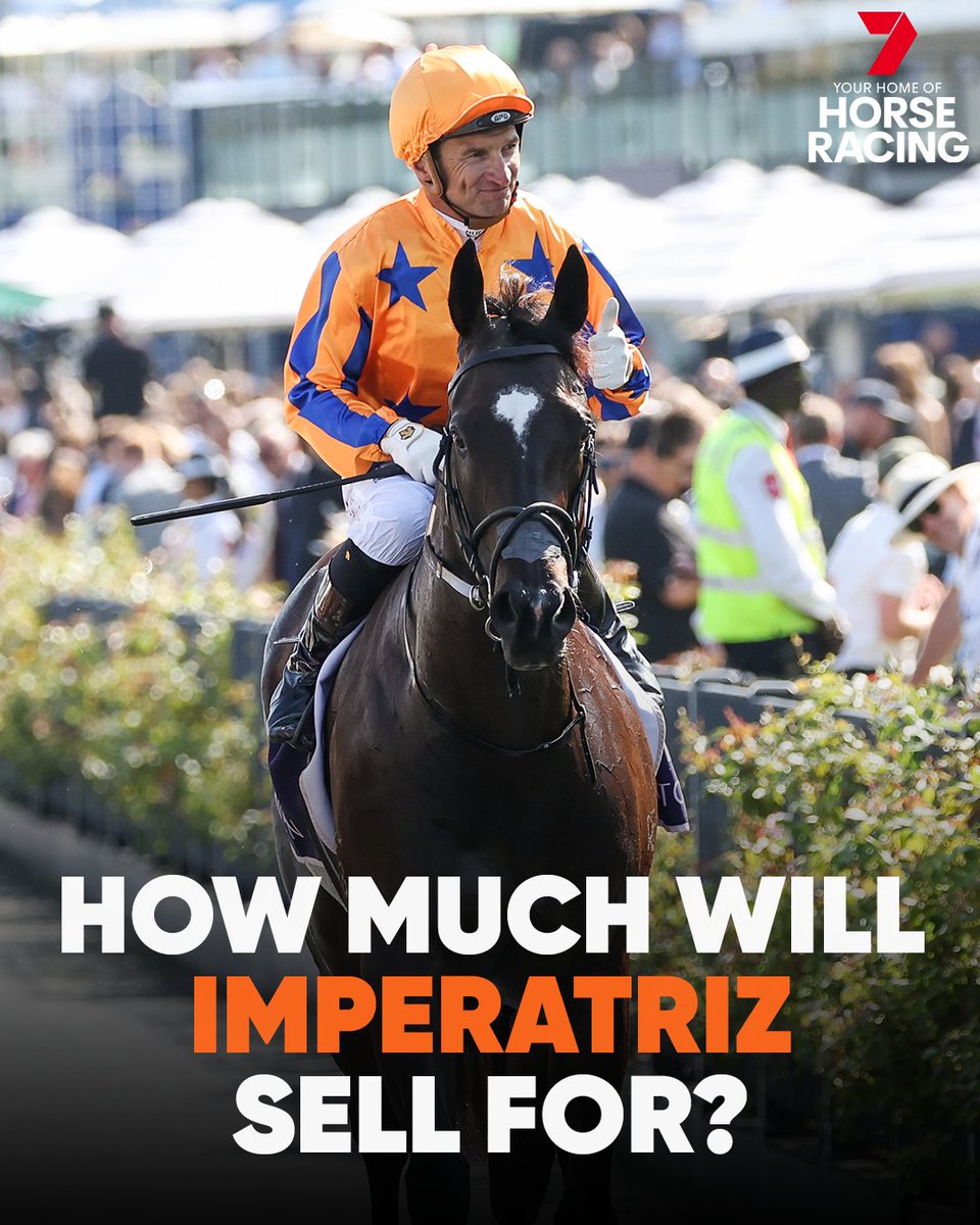 Imperatriz will head through the @mmsnippets auction ring tomorrow... How much will the champion mare go for? ✍️